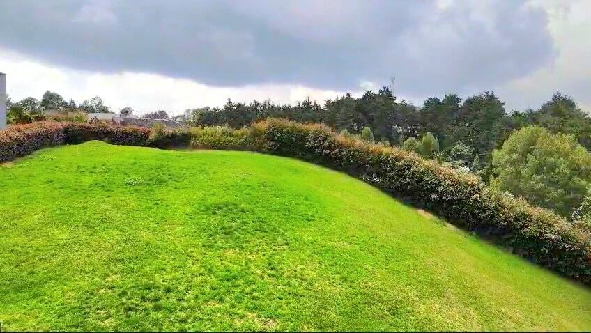 VideoCapture_20250310-111317